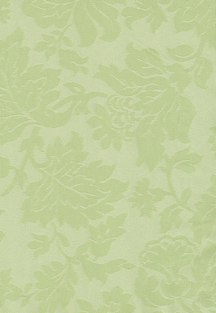 Dora C/15